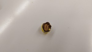 2015-11-07 10.46.49